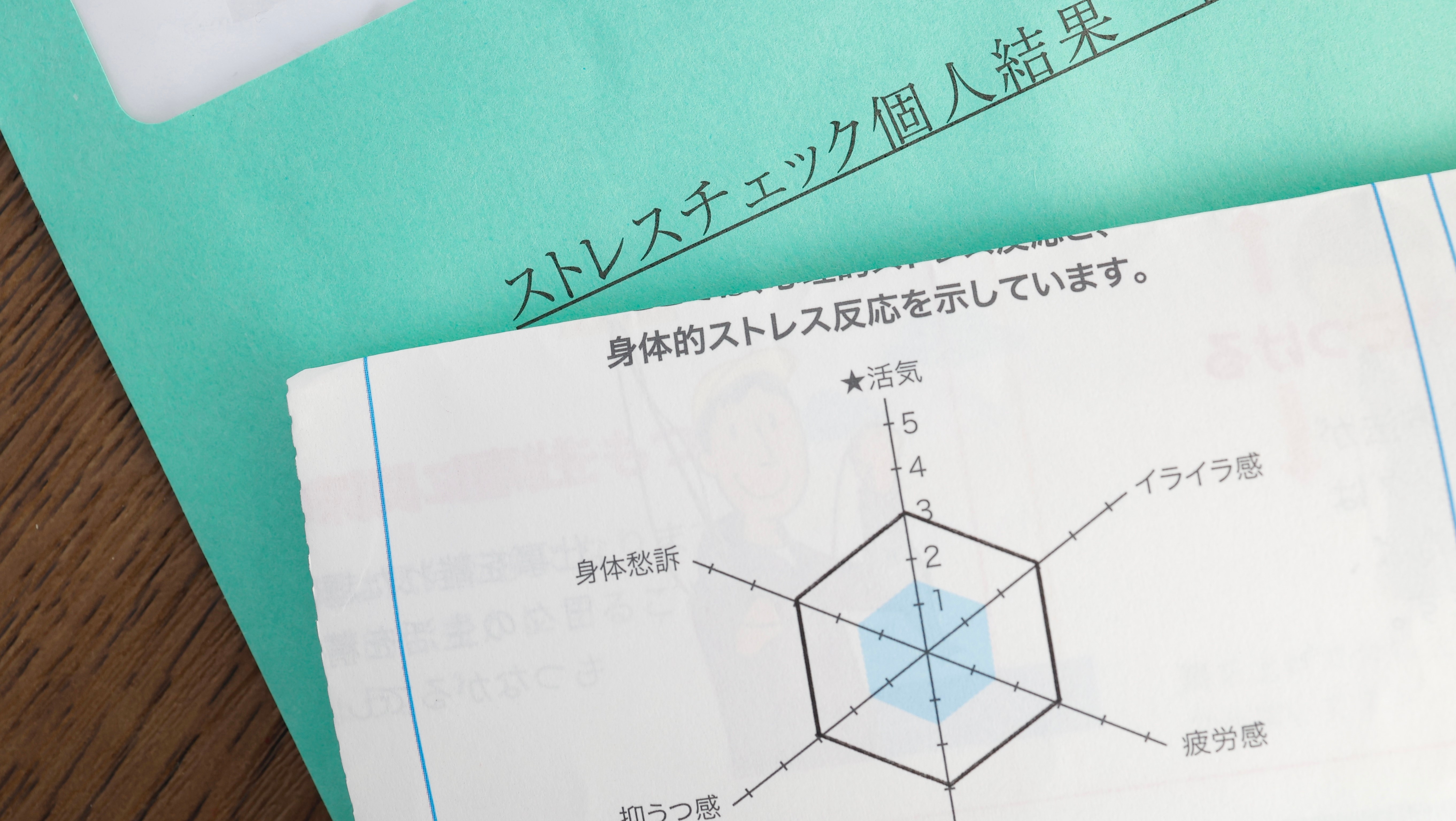 どうだい？ | ストレスチェックサービス